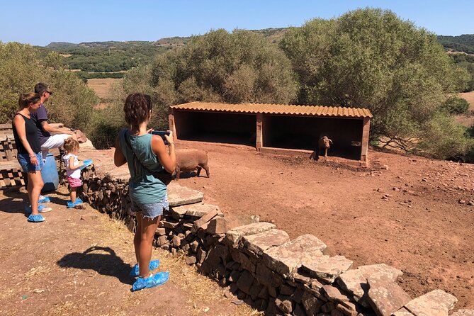 Menorca: Cheesemaking and Farm-Fresh Product Tasting - Tasting farm products after the activity