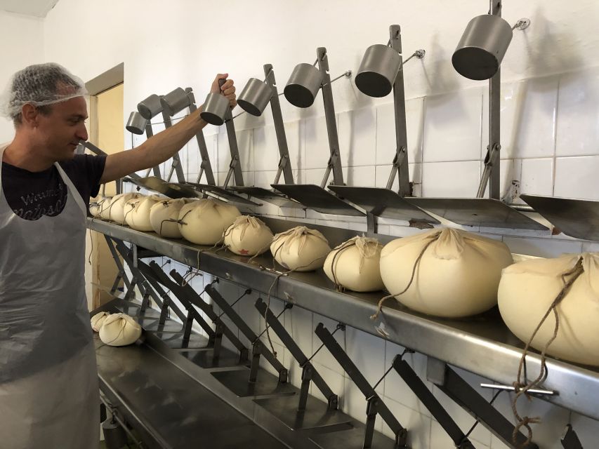 Menorca: Cheesemaking and Farm-Fresh Product Tasting - Who should book this experience?