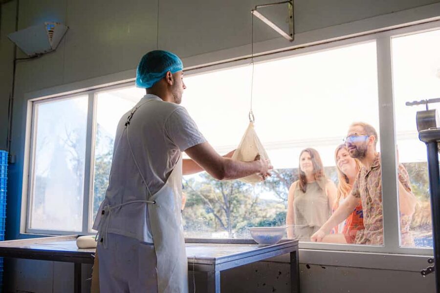 Menorca: Guided visit to the Subaida cheese factory, - Key points to know before visiting
