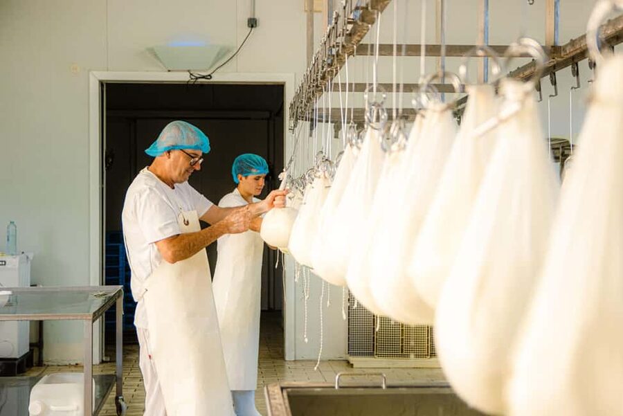 Menorca: Guided visit to the Subaida cheese factory, - Why Subaida makes a good rural Menorca stop