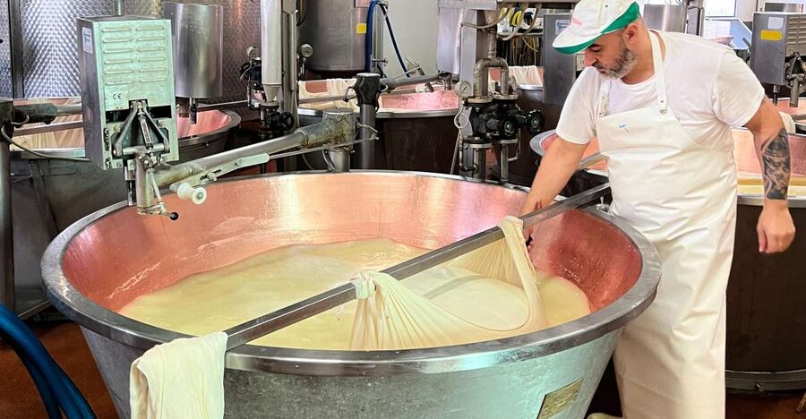 Modena/Bologna: Ferrari, Lambo, Cheese, Vinegar Tour w/Lunch - Seeing how Parmigiano Reggiano is made