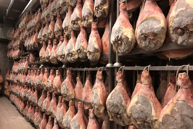 Modena Food:Prosciutto,Parmigiano,Balsamic,Wine,Lunch,Transport - Key points at a glance