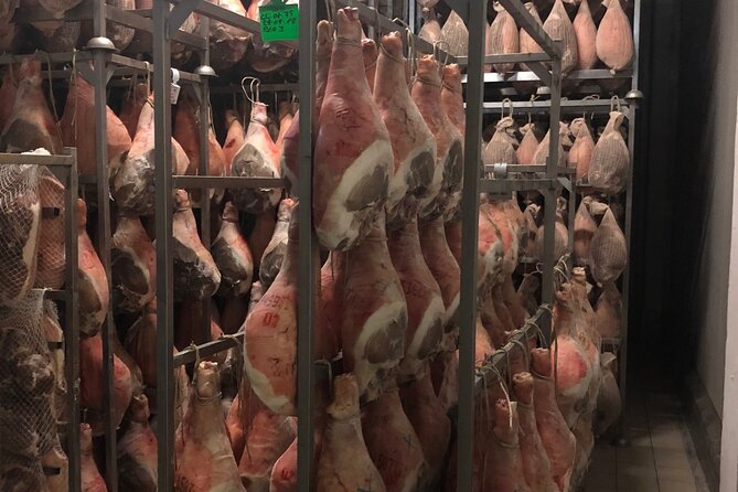 Modena Food:Prosciutto,Parmigiano,Balsamic,Wine,Lunch,Transport - Starting from Bologna and settling into the ride