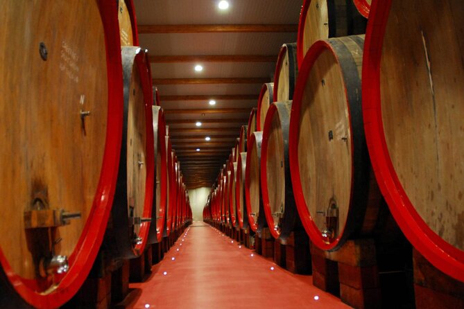 Modena Food:Prosciutto,Parmigiano,Balsamic,Wine,Lunch,Transport - Acetaia Pedroni: Modena’s black gold