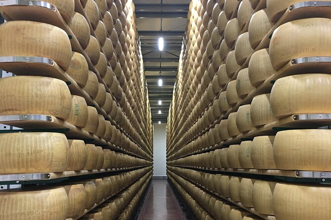 Modena Food:Prosciutto,Parmigiano,Balsamic,Wine,Lunch,Transport - Gavioli Antica Cantina: wine, cellars, and local traditions