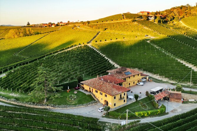 Monforte d'Alba: wine and cheese experience - What the $36.28 price really gives you