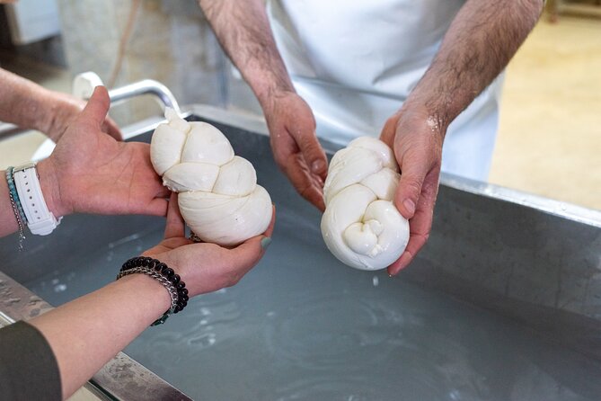 Mozzarella Experience and tasting in Naples - The garden and the extra Naples viewpoint