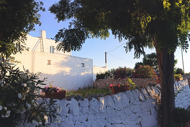 Mozzarella Experience - Cheese Tour and tastings to Masseria Fragnite - Meeting the Masseria Fragnite farm