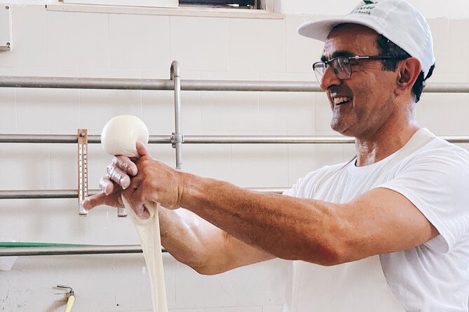 Mozzarella Experience - Cheese Tour and tastings to Masseria Fragnite - From the milking parlor to the dairy