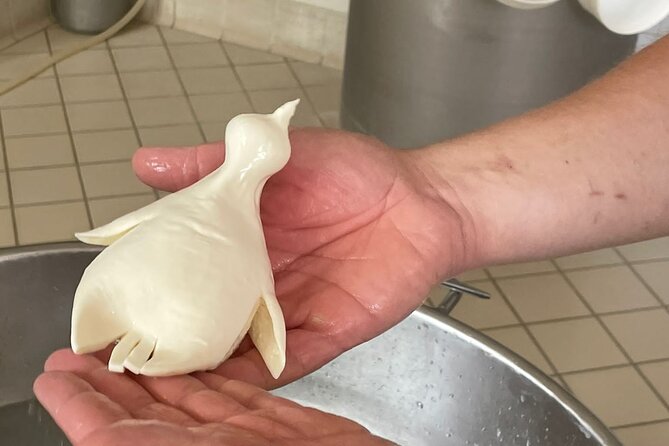 Mozzarella Experience with Tasting in Vico Equense - Arriving at Caseificio Starace in Vico Equense