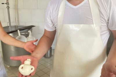 Mozzarella Experience with Tasting in Vico Equense