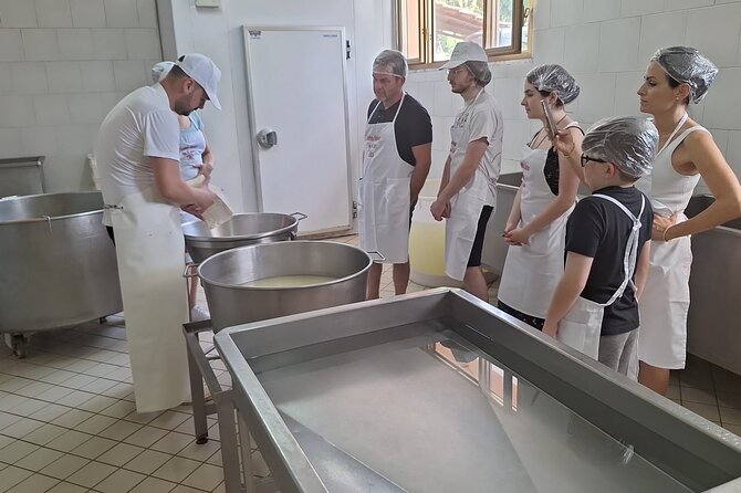 Mozzarella Experience with Tasting in Vico Equense - Practical details for families and small groups