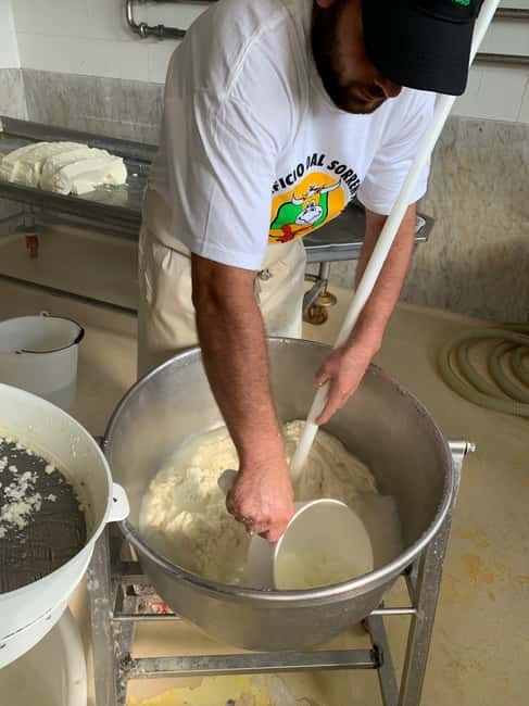 Naples: Mozzarella Experience, Taste of Southern Italy - Watching curd become mozzarella