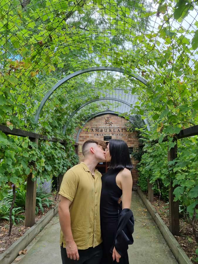 Newcastle: Hunter Valley Wine, Gin, Cheese & Chocolate Tour - The 45-minute ride into the wine region