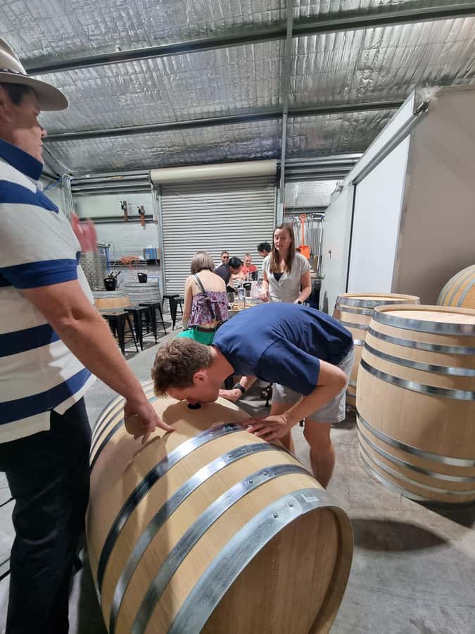 Newcastle: Hunter Valley Wine, Gin, Cheese & Chocolate Tour - Cheese, wine and more boutique bottles