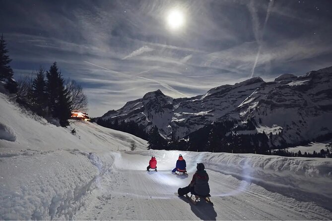 Night Sledding and Fondue Feast Interlaken - Riding into the Swiss Alps after dark