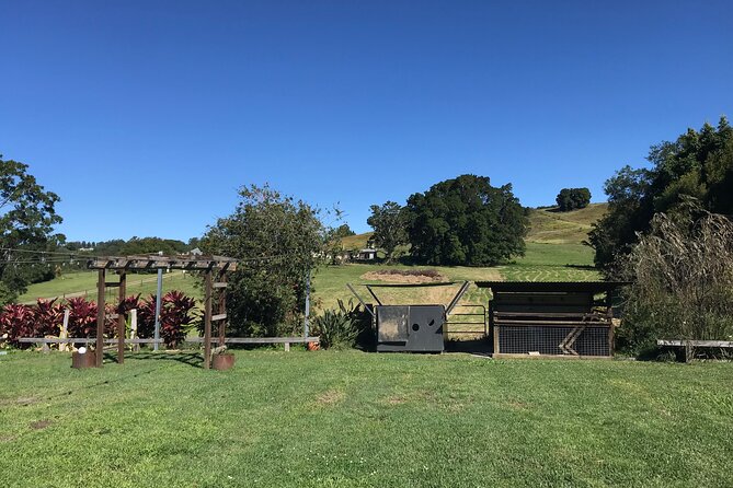 Noosa Hinterland Tour with Lunch, Wine & Cheese Tasting & more - The Bus, Group Size, and Day-to-Day Comfort