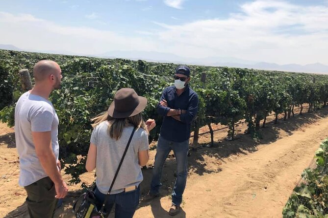 Ojos Negros Valley Wine and Cheese Route Tour in Baja California - Ending with 230 Baja wine labels in Ensenada