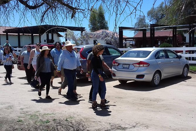 Ojos Negros Valley Wine and Cheese Route Tour in Baja California - Who will enjoy this tour most