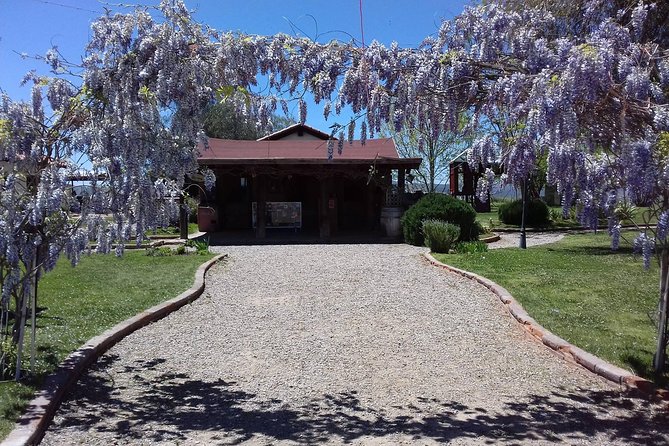 Ojos Negros Valley Wine and Cheese Route Tour in Baja California - The drive from Ensenada to the valley