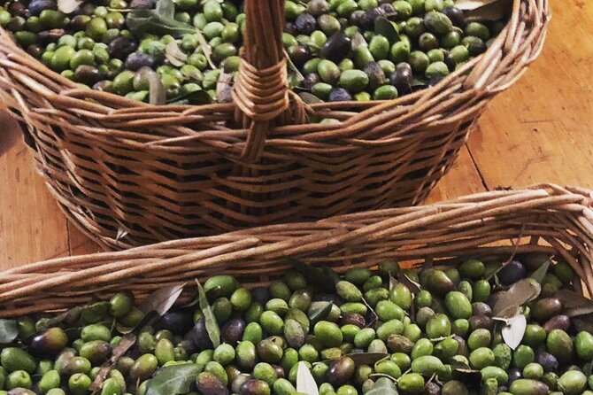 Olive Oil, Cheese, and Wine Tasting with Local Expert - Learning what extra virgin really means