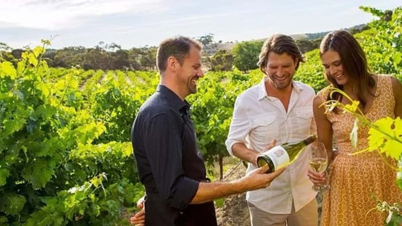 Ontario: Afternoon Wine Tour and Cheese Pairing - Three Niagara Wineries In One Afternoon