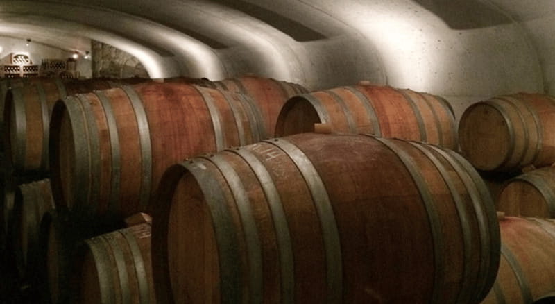 Ontario: Afternoon Wine Tour and Cheese Pairing - Who Will Enjoy This Niagara Wine Tour?