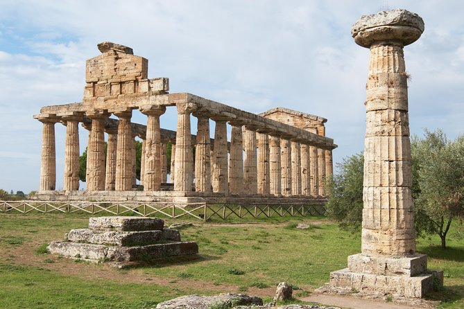 Paestum, Buffalo Mozzarella tasting and light lunch private tour - What the private service adds