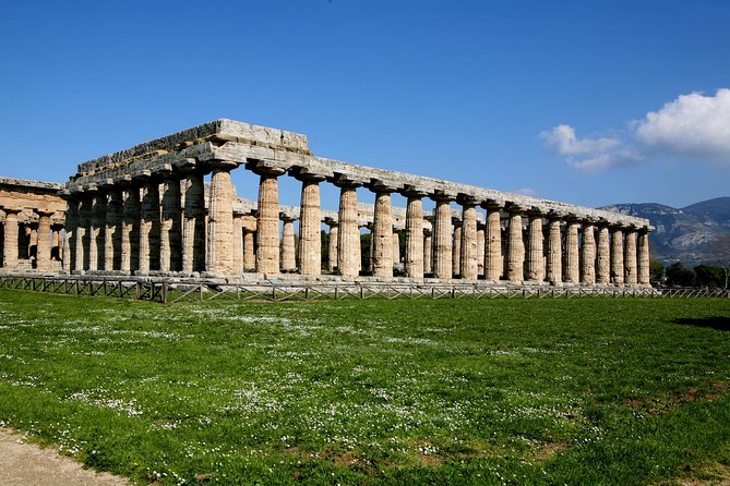 Paestum, Buffalo Mozzarella tasting and light lunch private tour - Timing, comfort, and practical concerns
