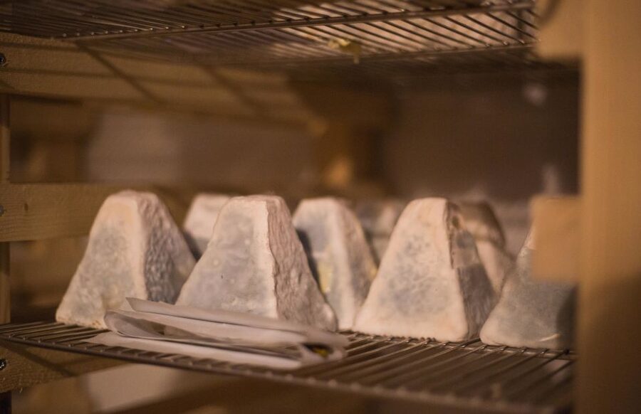 Paris: Cheese and Wine Class in a 17th Century Cellar - Learning how French cheese is made