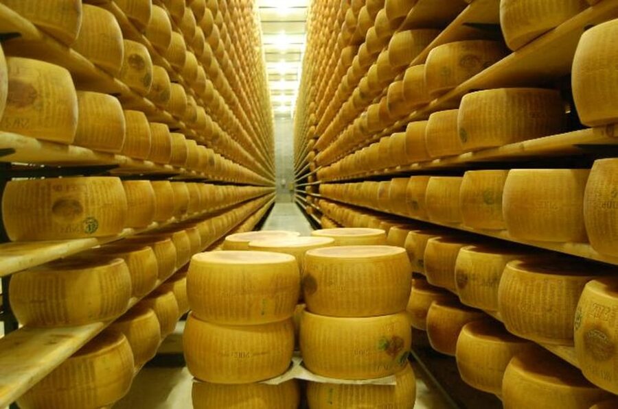 Parma: Cheese, Ham, & Balsamic Vinegar Tour with Tastings - Should you book it?