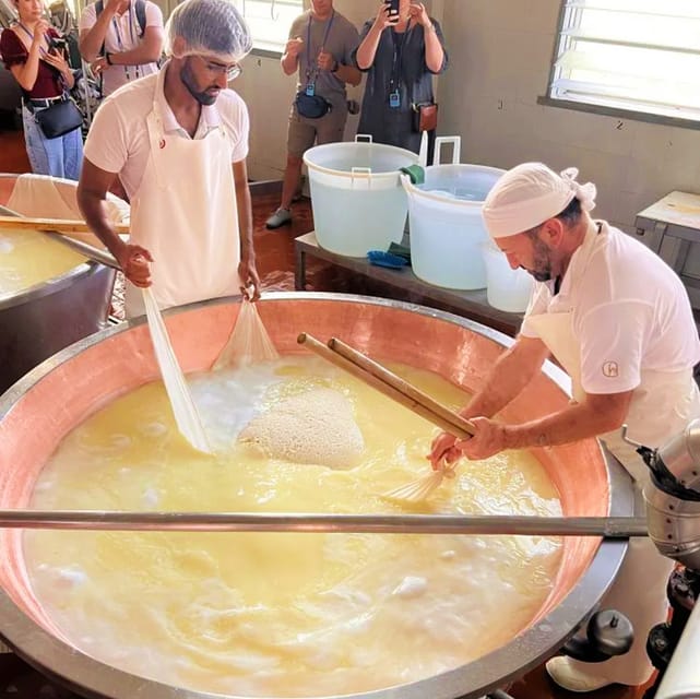 Parma: Cheese, Ham, & Balsamic Vinegar Tour with Tastings - The van ride, timing, and group feel
