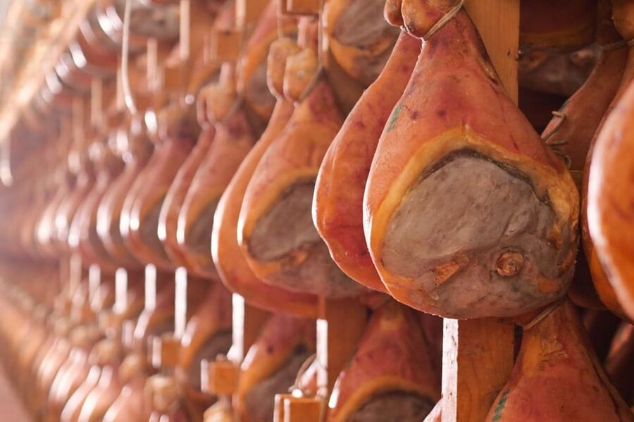 Parma: Cheese, Ham, & Balsamic Vinegar Tour with Tastings - What to wear and bring