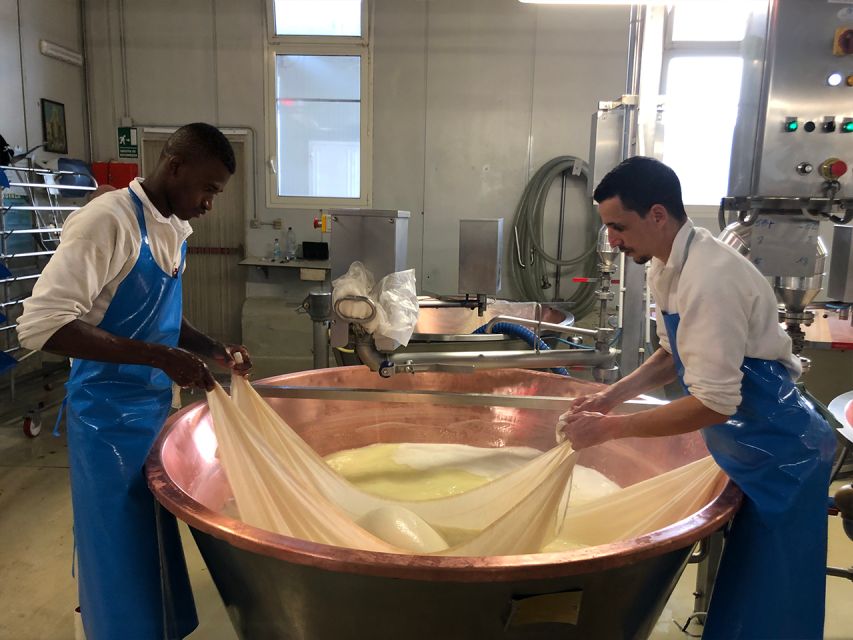 Parma Food Tour: Parmigiano Reggiano & Prosciutto di Parma - Timing, comfort, and practical limits
