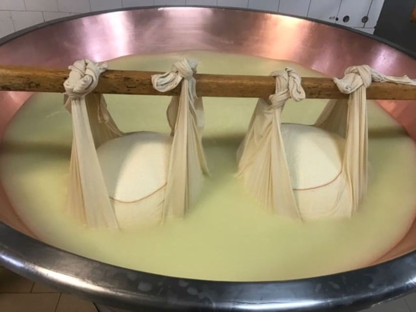Parma: Parmigiano Production and Parma Ham Tour & Tasting - The guides make a real difference