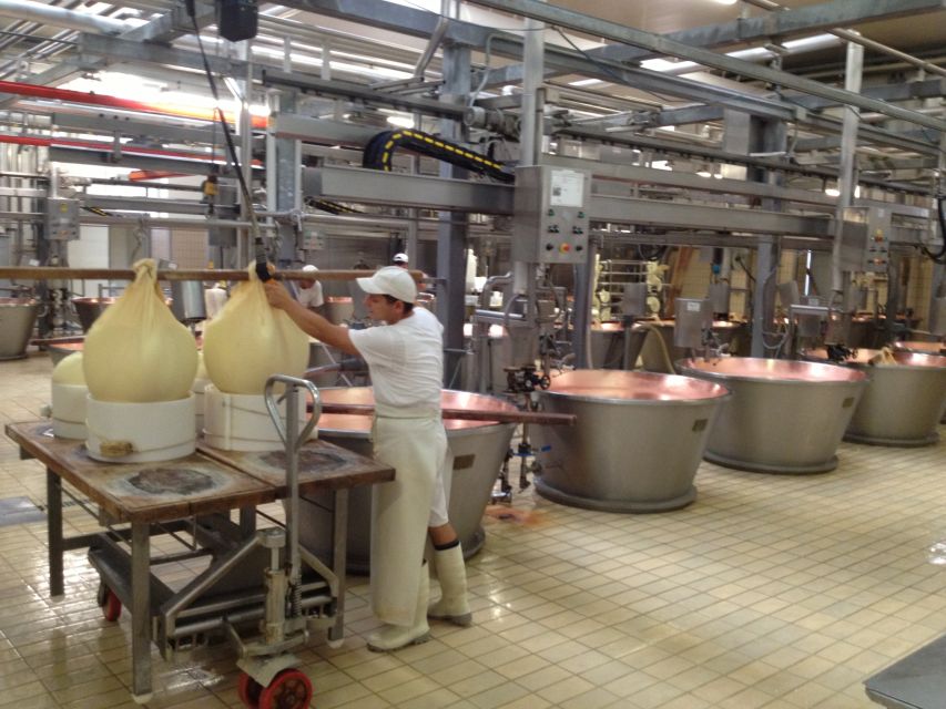 Parma: Parmigiano Reggiano Farm Tour & Tasting with Transfer - Inside the cheese factory: milk, curds, and whey
