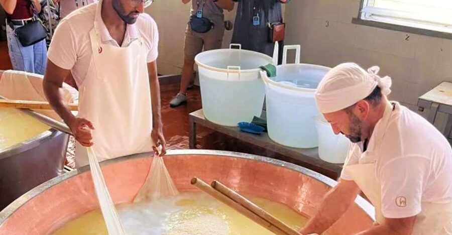 Parma: Traditional Cheese Factory Visit with Tasting - Watching curds become Parmigiano Reggiano