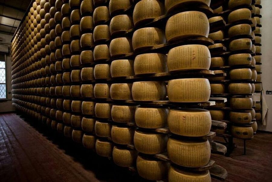 Parma: Traditional Cheese Factory Visit with Tasting - The tasting: cheese, wine, and local pairings