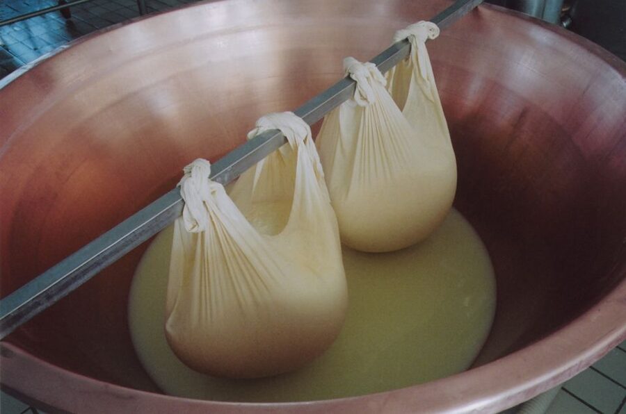 Parma: Traditional Cheese Factory Visit with Tasting - Who will enjoy this most?