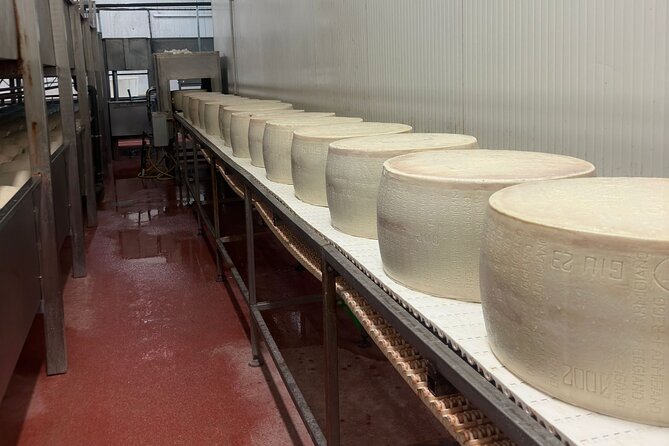 Parmesan and Balsamic Food Tour with Ferrari Museum - Seeing Parmigiano Reggiano made at a working dairy
