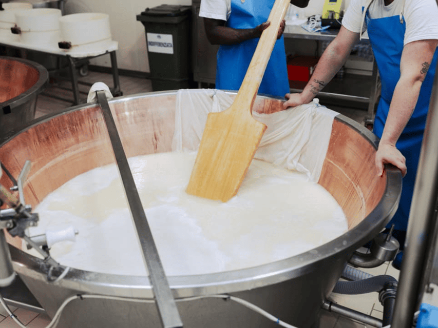 Parmesan Cheese Factory Tour & Tasting near Parma - Key points at a glance
