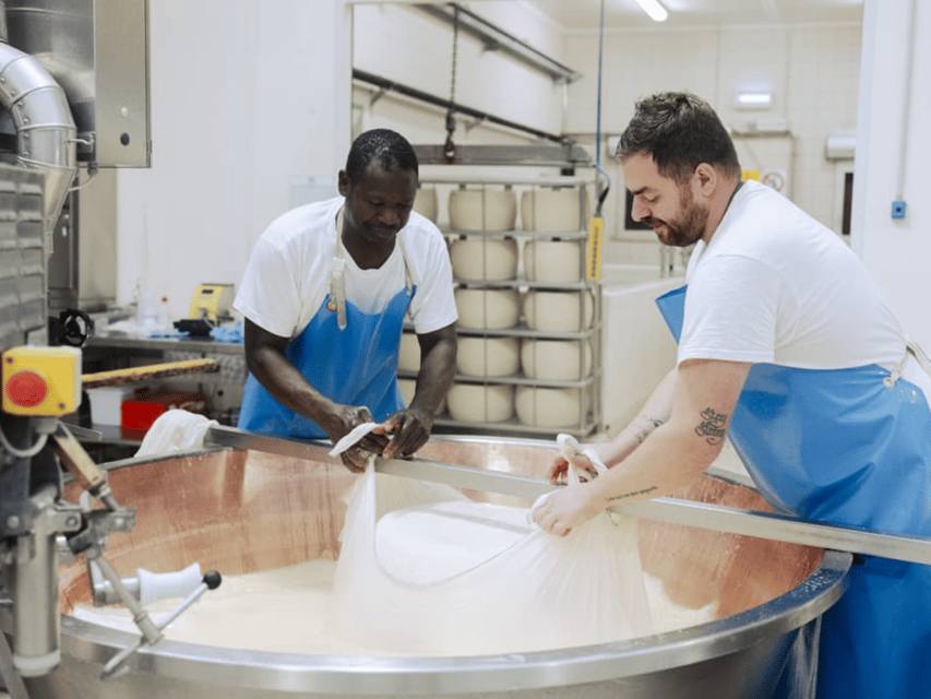 Parmesan Cheese Factory Tour & Tasting near Parma - Accessibility and language