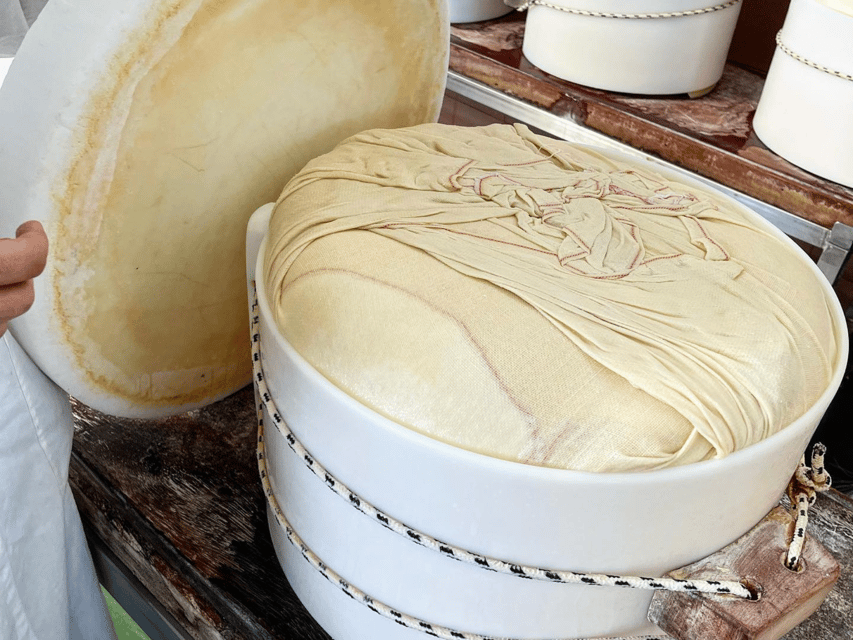 Parmesan Cheese Tour & Tasting in Modena - Tasting Parmesan from young to 36 months