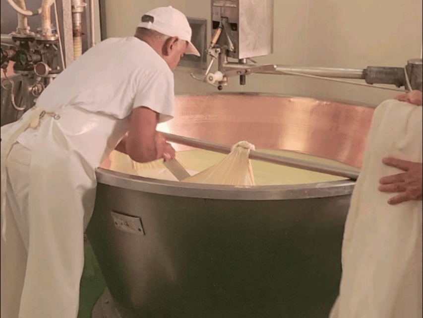 Parmesan Cheese Tour & Tasting in Modena - The value of $58 per person