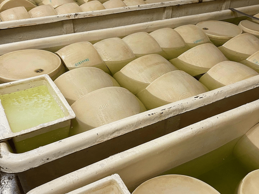 Parmesan Cheese Tour & Tasting in Modena - Who should book this experience