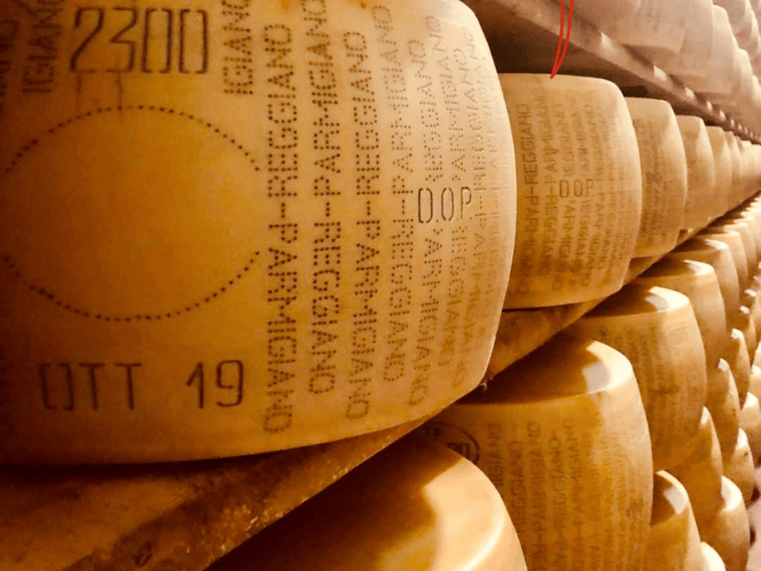 Parmesan Wheels near Parma: Tasting & Factory Tour - The 10:30 AM option: more explanation, less production