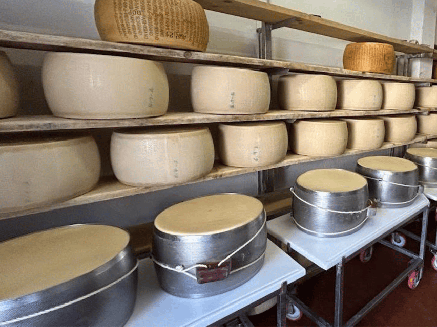 Parmesan Wheels near Parma: Tasting & Factory Tour - The calf visit from April through September