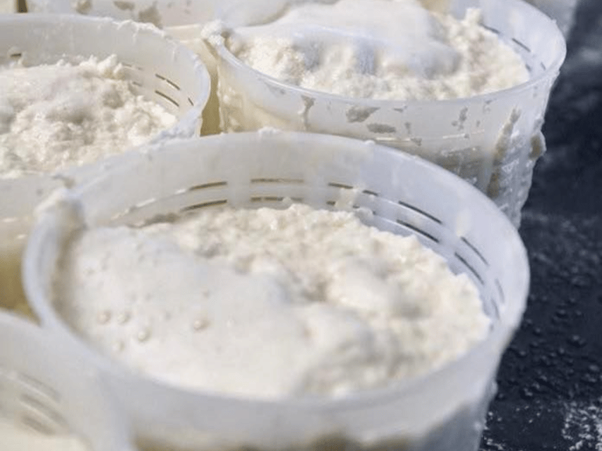 Parmesan Wheels near Parma: Tasting & Factory Tour - Guides, languages, and the feel of the visit