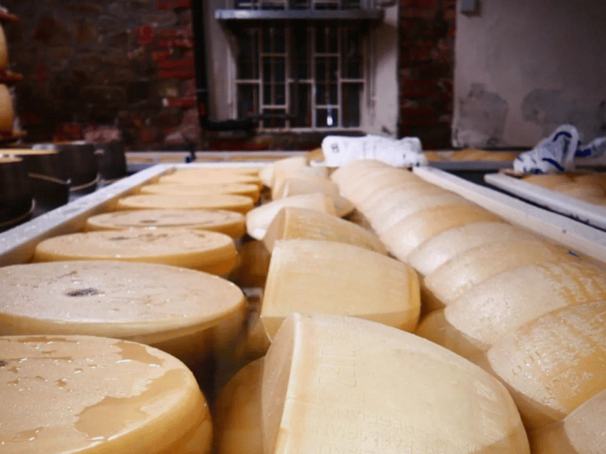 Parmesan Wheels near Parma: Tasting & Factory Tour - Who should book this Parmigiano visit?