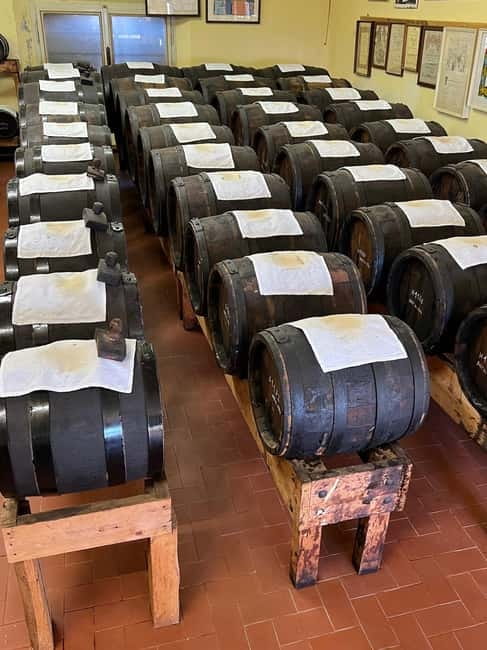 Parmesan, Wine, Balsamic Full Day Tour with Lunch - Why these three foods belong together